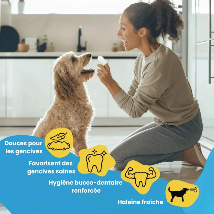 Salviette dentali ProCare