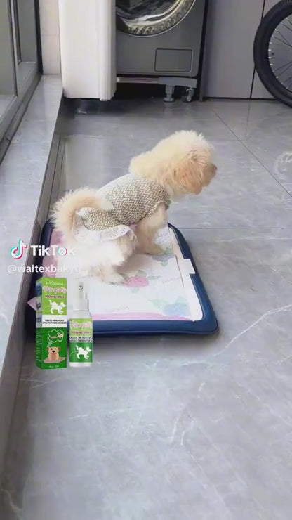 Facilita Addestramento Toilette Sistema Completo per Cani e Gatti
