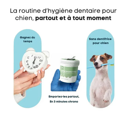 Salviette dentali ProCare